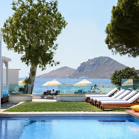 Point Residences Villa